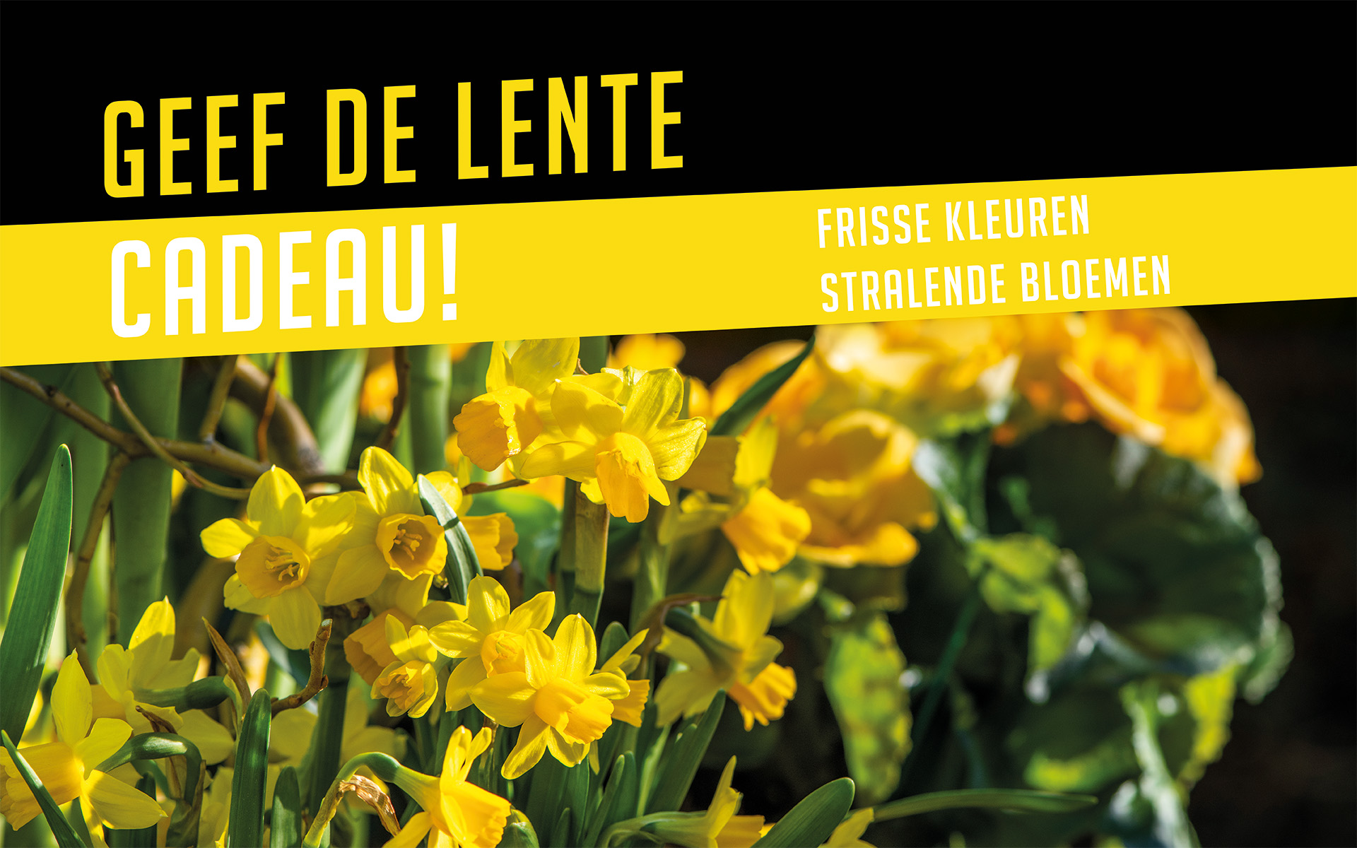 Slider website_Philippe Bas_1920x1200px_voorjaar & pasen_2