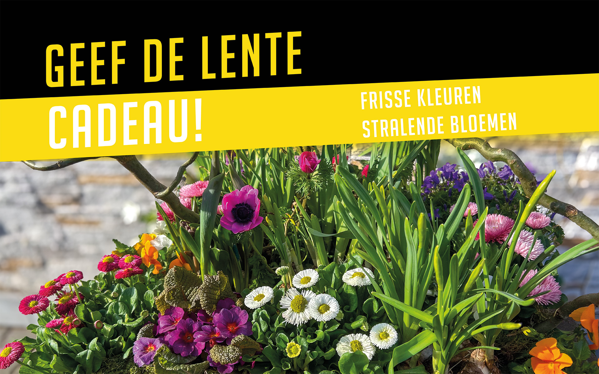 Slider website_Philippe Bas_1920x1200px_voorjaar & pasen_4