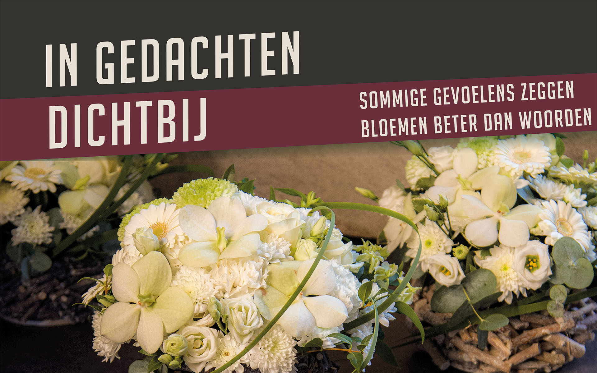 Slider website_Philippe Bas_1920x1200px_Allerheiligen_4